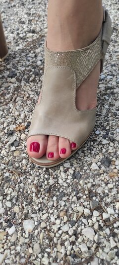 IMG_20240628_173528.jpg