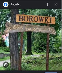IMG_20240628_194925.jpg