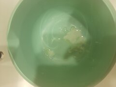 20240608_114949.jpg