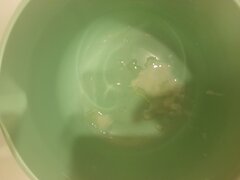 20240608_114952.jpg