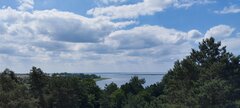 IMG_20240626_120632.jpg