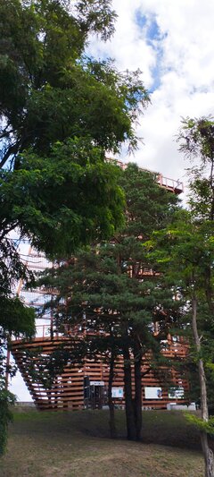 IMG_20240626_113847.jpg