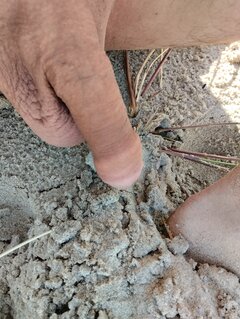 IMG_20240629_092319.jpg