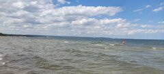 IMG_20240629_132019.jpg