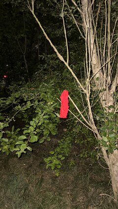 IMG_0562.jpeg