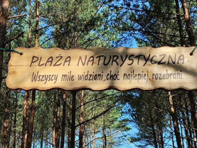 76tomy74