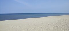 IMG_20240630_100857.jpg