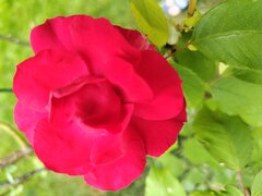 IMG_20240528_123017279.jpg