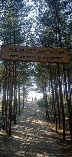 IMG_20240629_170437.jpg