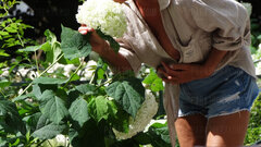DSC07827.JPG