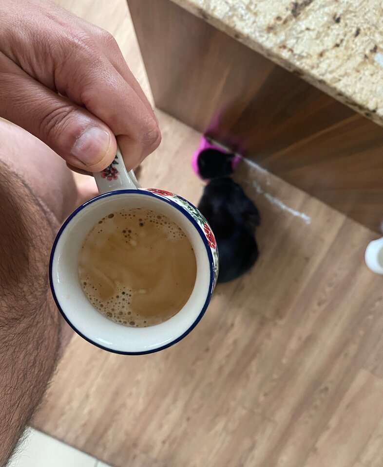 😘☕️🐈 - serialowapara19782