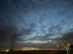 IMG_1951.jpg