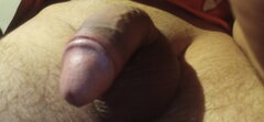 17200404013573895090344323245983.jpg
