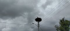 IMG_20240702_160515.jpg