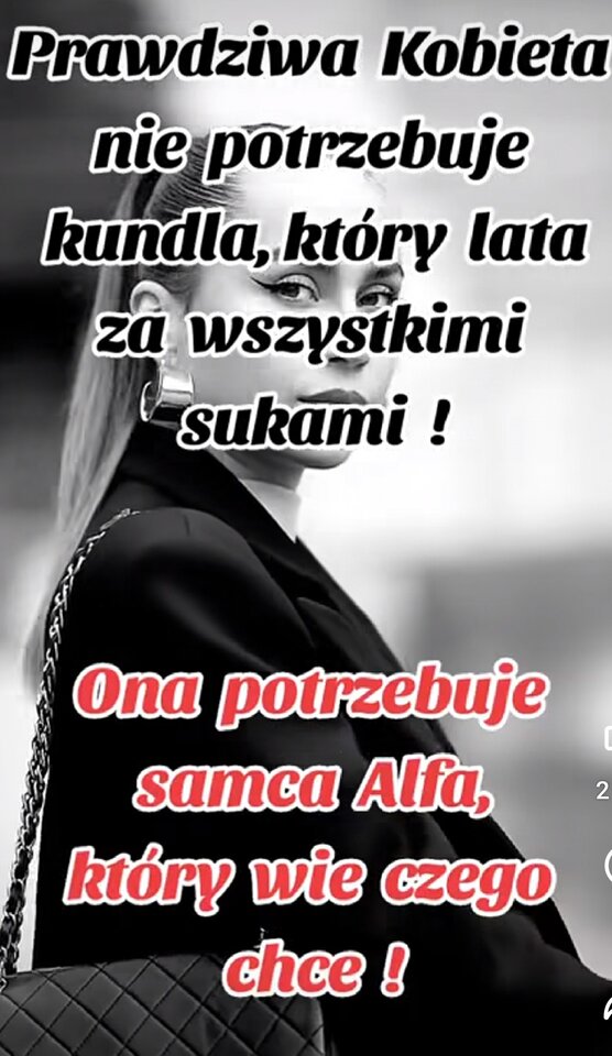 1000014311.jpg - misiaczki5450