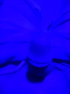IMG_20240705_222238.jpg