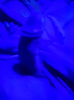 IMG_20240705_222233.jpg