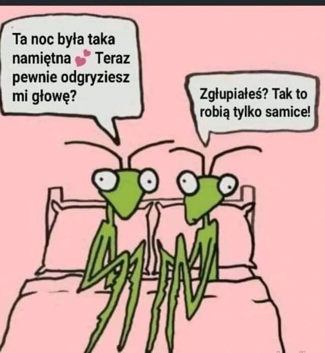 EkstatycznieEuforyczni