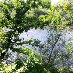 20240706_141404.jpg