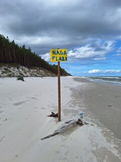 Dębki 2024