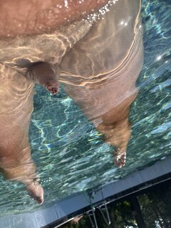 IMG_8885.jpeg
