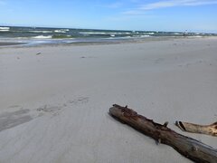 IMG20240707134032.jpg