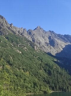IMG_20210909_162717.jpg