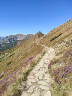 IMG_20210911_104057.jpg