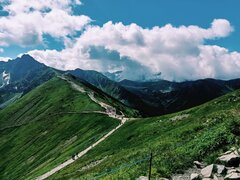 IMG_20240705_120224.jpg