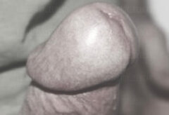Resizer_16933837192657.jpg