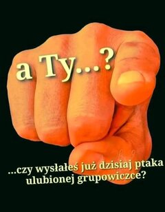 FB_IMG_1720295576056.jpg