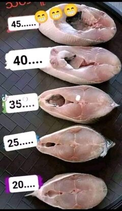 FB_IMG_1720629809427.jpg
