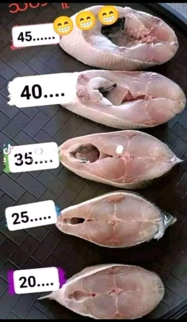 KutasekTIR