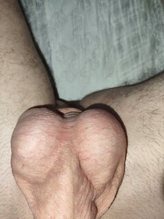 1000006543.jpg
