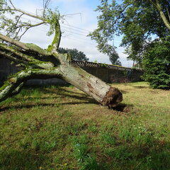 DSC03092.JPG