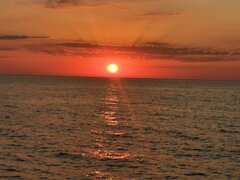 IMG_20240626_212206.jpg