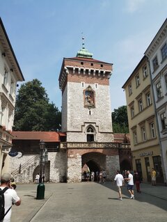 IMG_20240712_121705379.jpg