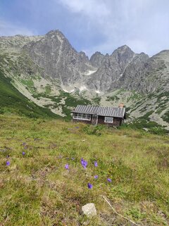 A dziś takie widoki.