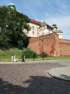 IMG_20240712_100945783.jpg