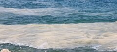 1000026565.jpg