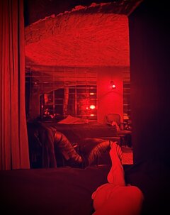MULIER NOCTE