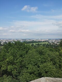 IMG_20240714_154051934.jpg