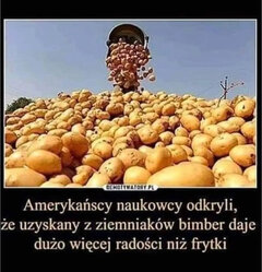 IMG_8033.jpeg
