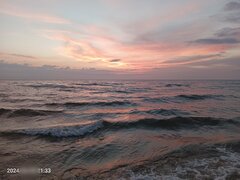 Image_950070.jpg