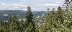 🌲⛰️