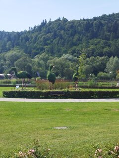 IMG_20240715_160524.jpg