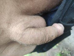 IMG_20240717_064735.jpg