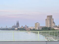 IMG_8792.jpeg