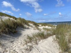 IMG_3421.jpeg