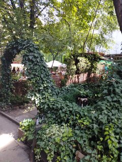 IMG_20240719_111826.jpg